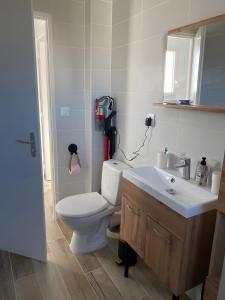 サン・ドニ・ドレロンにあるMaison Neuve Proche de la Merのトイレと洗面台付きのバスルーム +16枚の写真