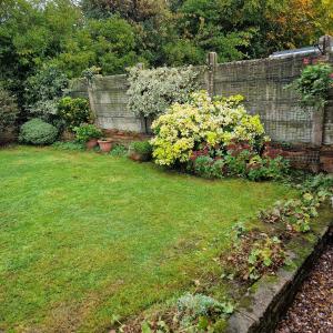 a garden with a fence and some plants and flowers at Single Bedroom in the main Bungalow in Wednesfield