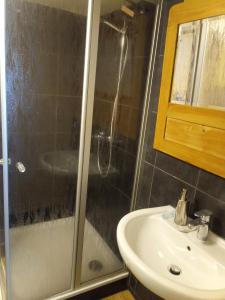 a bathroom with a shower and a sink at Kleines Burgstübchen in Hundheim