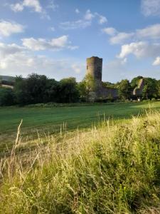a grass field with a castle in the background at Kleines Burgstübchen in Hundheim +23 photos