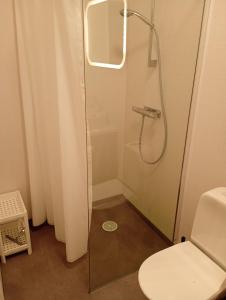 Ένα μπάνιο στο Ferienwohnung 2 Lakeland Åäng 6 Vislanda