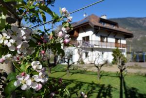 a house in the background with flowers in the foreground at Appartment Gut Wendlandt in Bolzano