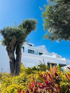 Φωτογραφία από το άλμπουμ του Romantic Santorini-Style Villa with Private Pool and Sea View σε Orga +40 φωτογραφίες