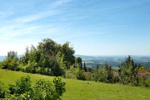 a grassy hill with a view of the countryside at Geyersberg mit Aussicht in Freyung