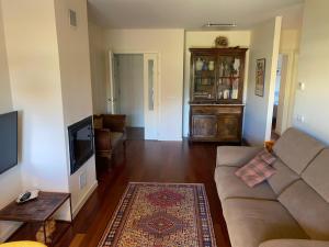 ein Wohnzimmer mit Sofa und Fernseher in der Unterkunft Jardin de los Pirineos- Margas Golf in Sabiñánigo