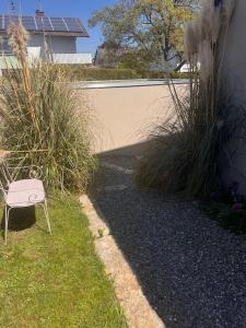 Zahrada ubytování Ferienwohnung Blaubeere - Obsthof Steffelin + 2 fotografie