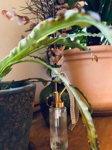 Φωτογραφία από το άλμπουμ του Ciel Etoilé Cocon Chic en hyper-centre σε La Celle-sous-Gouzon