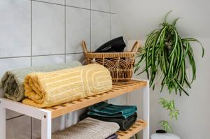 a shelf with towels and a plant in a bathroom at Ferienwohnung Inge in Uder +27 photos