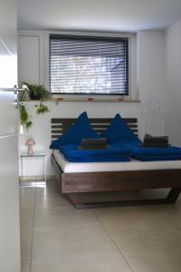 a bedroom with a bed with blue pillows and a window at Modernes 2-Zimmer Apartment mit Balkon in Münster