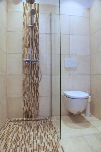 Un baño con inodoro y ducha de cristal. en T3 coeur de Sanary - 100m du port, en Sanary-sur-Mer
