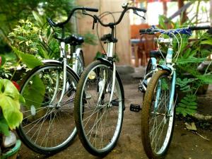two bikes are parked next to each other at The Travel Tree Hostel in Sigiriya