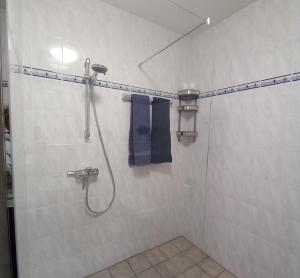 a bathroom with a shower with a blue towel at Ferienwohnung an der Kriemhildmühle in Xanten