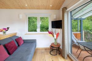 LiebenauにあるFerienhaus Das Kleine Paradiesの青いソファと窓のあるリビングルーム