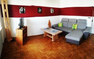 a living room with a couch and a tv at Ferienwohnung Villingen in Villingen-Schwenningen