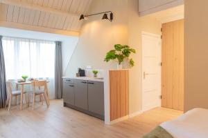 Η κουζίνα ή μικρή κουζίνα στο Wijngaardstraat 5A +4 φωτογραφίες