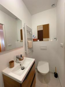 Koupelna v ubytování Le petit cocoon de Brive - 3 people - 800m du centre-ville