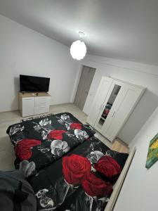 Afbeelding uit fotogalerij van AA home in Craiova International Airport