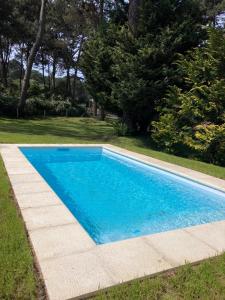 ein blauer Pool in einem Garten mit Bäumen in der Unterkunft CASA MARÍTIMA EN PORTEZUELO, MALDONADO, URUGUAY in Punta del Este