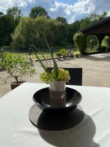 a black plate with a vase on a table at Ferienwohnung an der Berkelquelle in Billerbeck
