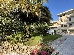 een palmboom in een tuin naast een gebouw bij La Tavernetta dei Ronchi in Marina di Massa