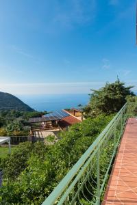 Příroda nedaleko prázdninového domu