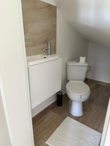 a bathroom with a toilet and a sink at Loft21 in Sibiu