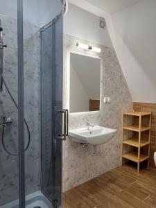 a bathroom with a sink and a shower at Willa Halka in Zakopane