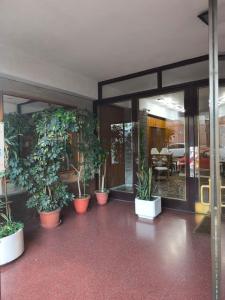 un grupo de plantas en macetas en un edificio en Libertador 1, en Montevideo