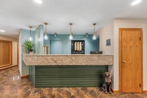 a dog sitting in front of a bar in a room at MainStay Suites Springfield South - Battlefield Rd in Springfield