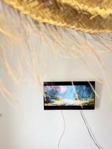 a tv hanging on a wall with a plant at Marukichan, apartamento en el centro de Vigo in Vigo