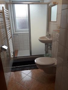 a bathroom with a shower and a toilet and a sink at Landlhof in Ramsau