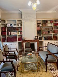 ein Wohnzimmer mit einem Kamin und Bücherregalen in der Unterkunft Château Le Baudou in Coutras