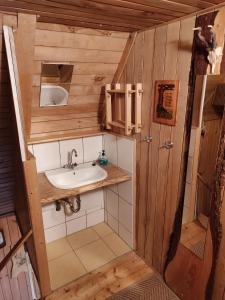 a small bathroom with a sink and a mirror at Hubertushütte in Kurort Oberwiesenthal