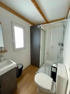 フィッシュバッハウにあるWendelstein Mountain Campのシャワー、トイレ、洗面台を備えたバスルーム +15枚の写真