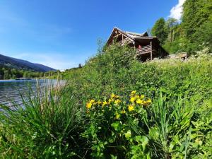 Příroda nedaleko chaty