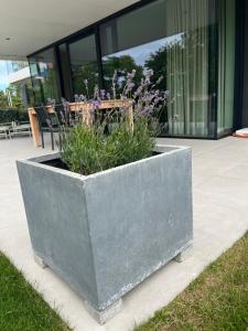 a large concrete planter with purple flowers in it at Logies La Parmentière in De Panne