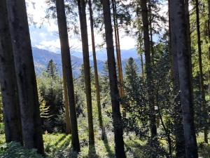 Příroda nedaleko apartmánu + 2 fotografie