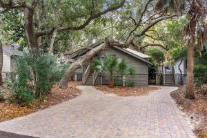 キアワ・アイランドにあるFR480: 480 Fiddlers Reachの私道に木が立つ家