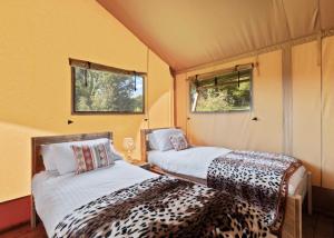 a room with two beds in a tent at Celtic Escapes in Narberth +14 photos