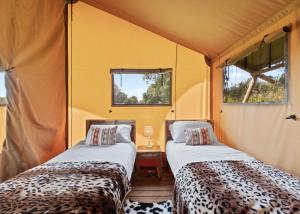 a room with two beds in a tent at Celtic Escapes in Narberth +62 photos