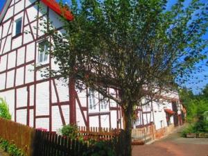 a large white house with a tree in front of it at Reitz in Fritzlar
