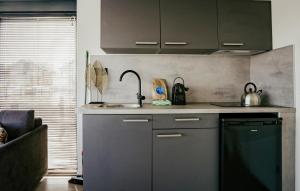 Kuchyň nebo kuchyňský kout v ubytování Havenlodge Plus