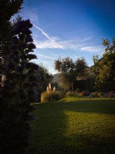 Příroda nedaleko prázdninového domu