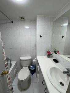 ein weißes Badezimmer mit Toilette und Waschbecken in der Unterkunft Departamento Teatinos Santiago Centro in Santiago + 3 Fotos
