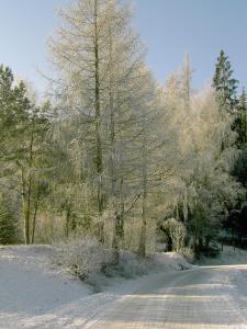 Φυσικό τοπίο κοντά σε αυτό το κατάλυμα σε φάρμα
