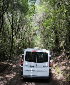 圣克鲁斯-德特内里费Vancamper的一辆白色的面包车沿着土路行驶