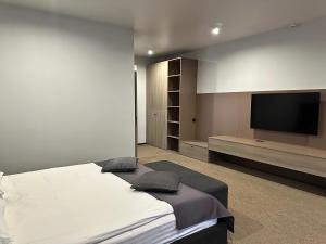 Μια τηλεόραση ή/και κέντρο ψυχαγωγίας στο Optima Collection Chernivtsi