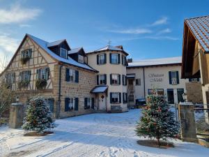 a building with two christmas trees in front of it at Ferienwohnung Stützenmühle in Haßfurt
