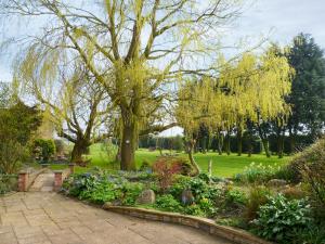 a garden with a large tree and some flowers at Lambourne House - Ukc2831 in Winthorpe
