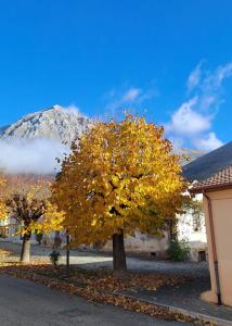 deux arbres à feuilles jaunes devant une maison dans l'établissement Casa Albe, à Massa dʼAlbe 14 autres photos